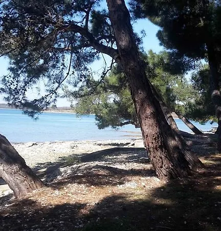 Mea Rusijan Pula