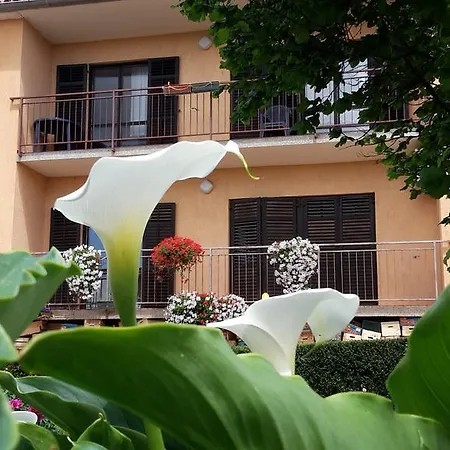 Apartment Mea Rusijan *