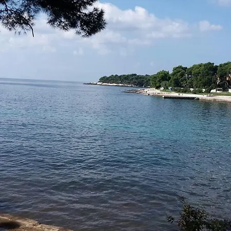Mea Rusijan * Pula